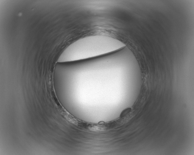 X0000080180561200612081137