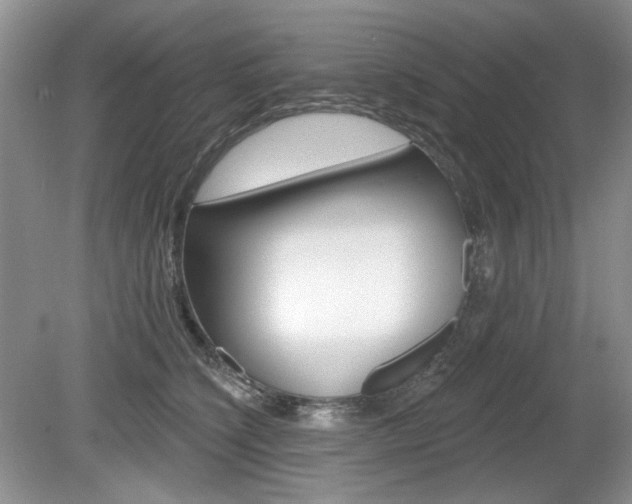 X0000080180564200612081137