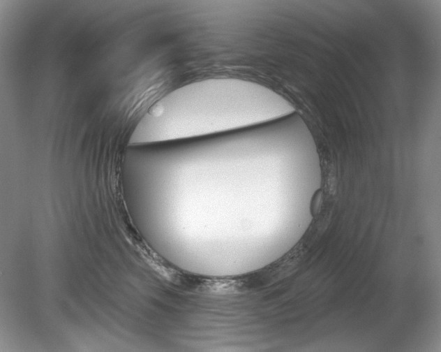 X0000080180569200612081137