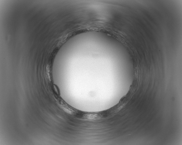 X0000080180575200612081137