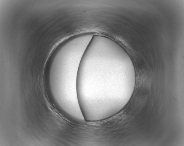 X0000080180583200612081136