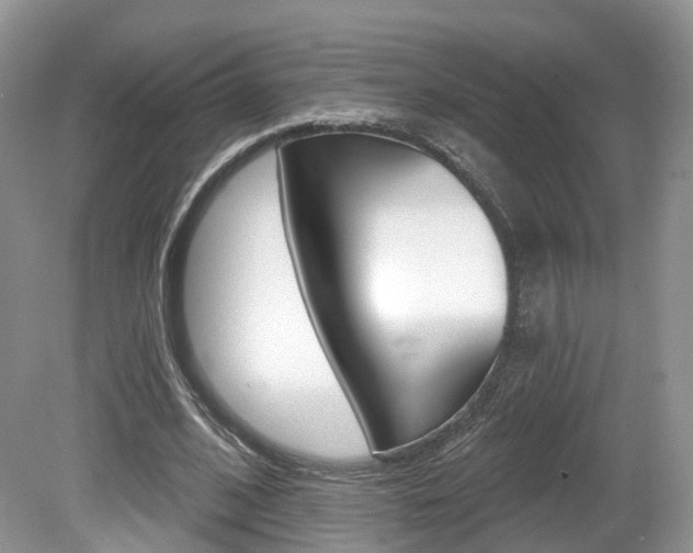 X0000080180584200612081136