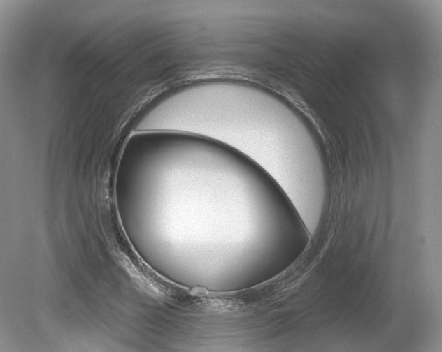 X0000080180585200612081136