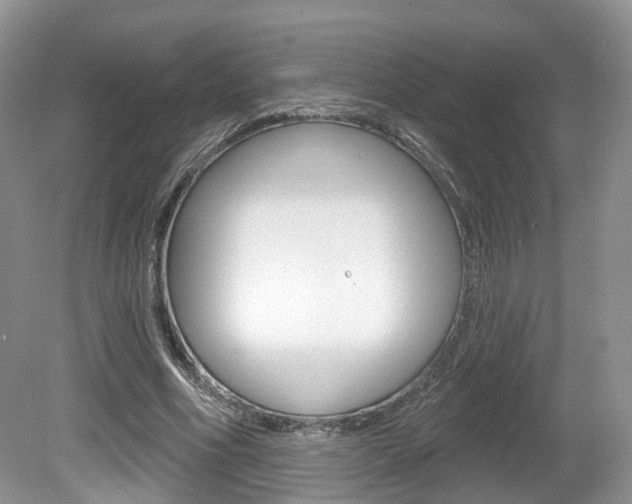 X0000080180586200612081136
