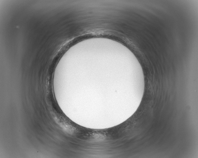 X0000080180592200612081136