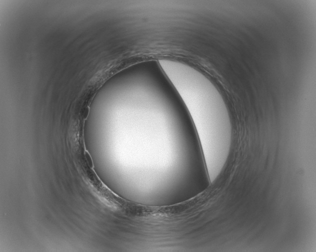 X0000080180593200612081136