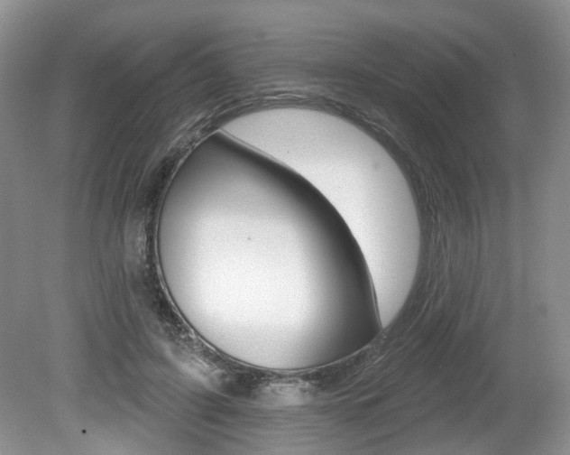 X0000080180595200612081136