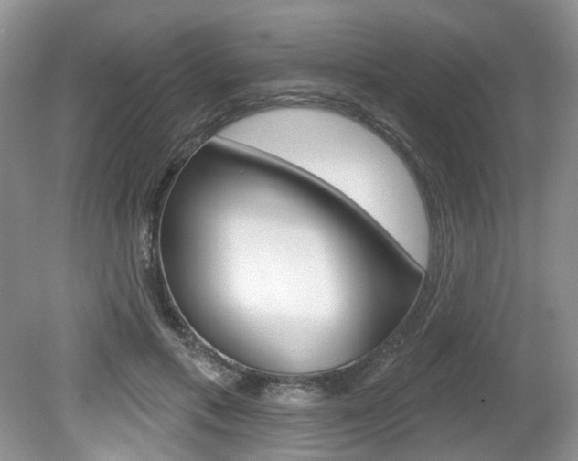 X0000080180597200612081136