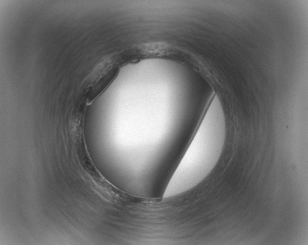 X0000080180601200612081136