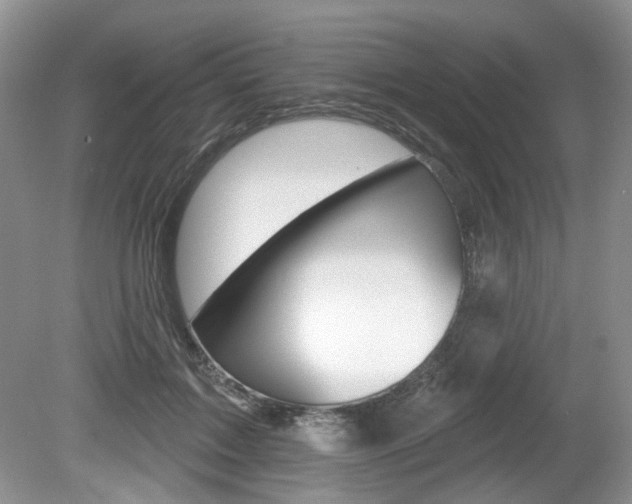 X0000080180603200612081136