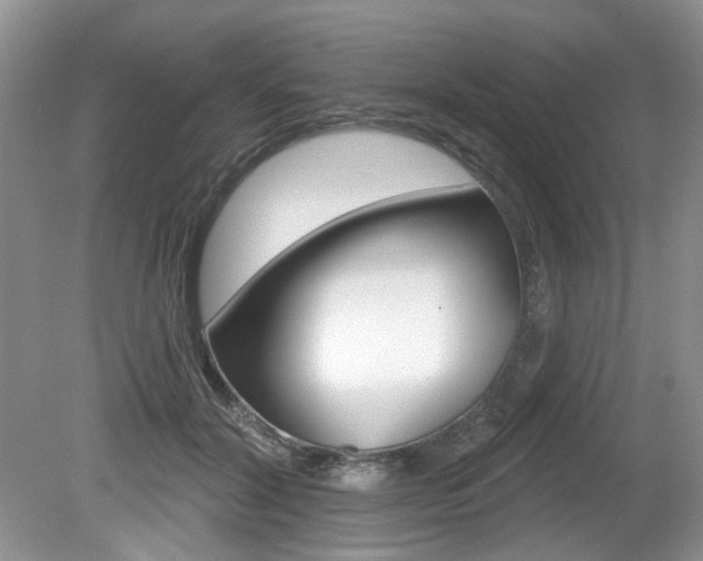 X0000080180604200612081136