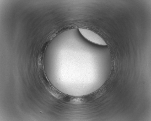 X0000080180611200612081136