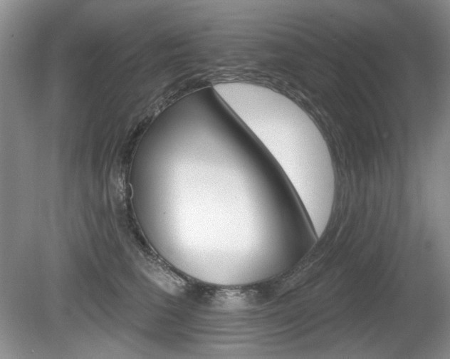 X0000080180613200612081135