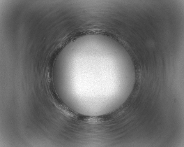 X0000080180615200612081135