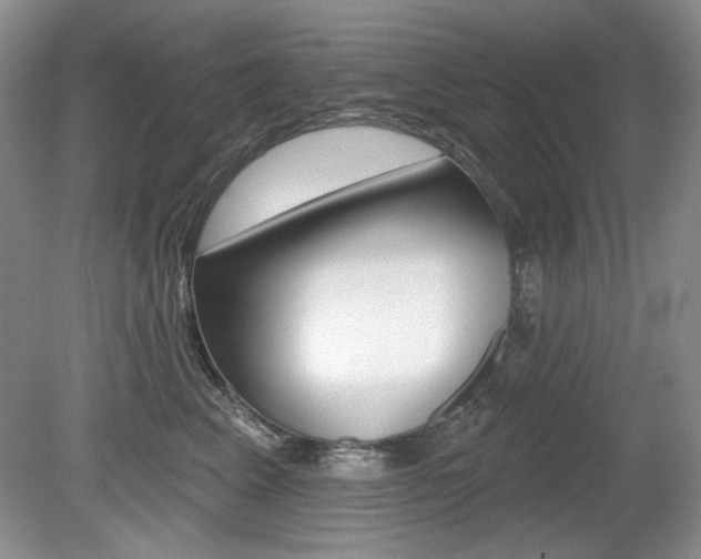 X0000080180617200612081135