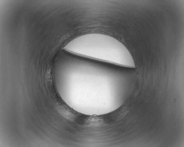 X0000080180619200612081135