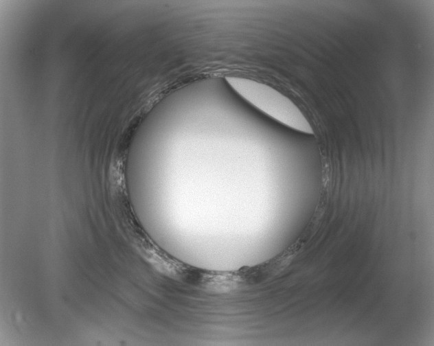 X0000080180621200612081135