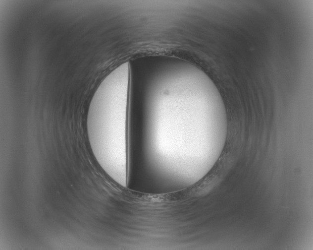 X0000080180624200612081135