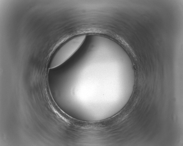 X0000080180625200612081134