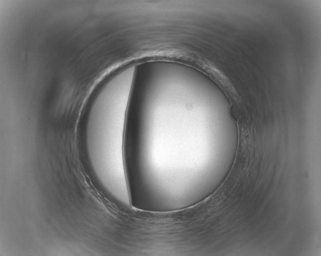 X0000080180628200612081135
