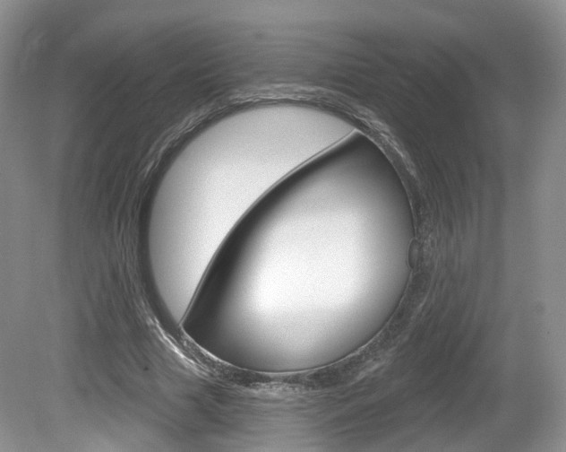 X0000080180633200612081135