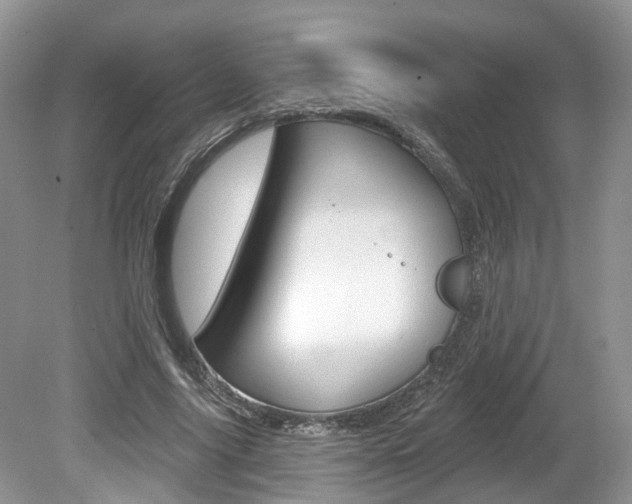 X0000080180635200612081135