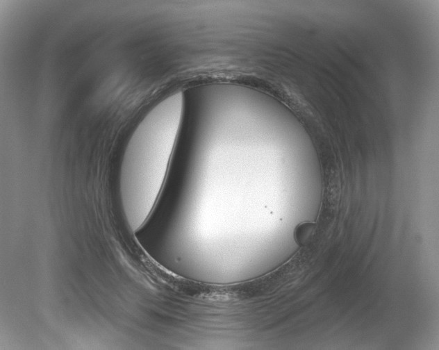 X0000080180639200612081135
