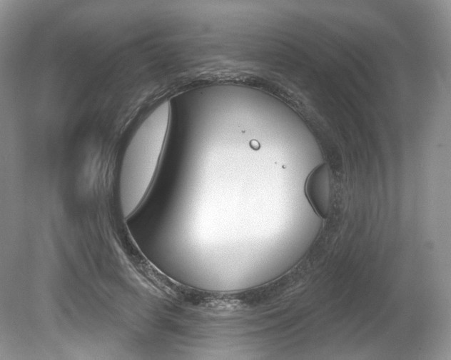 X0000080180642200612081135