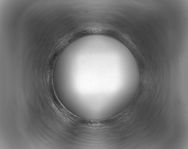 X0000080180645200612081135