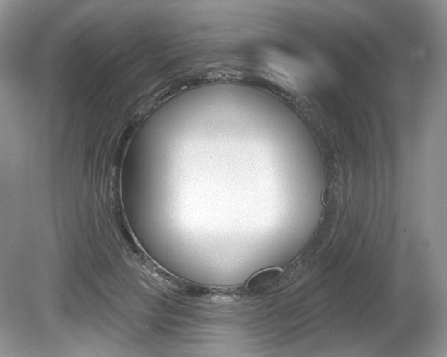 X0000080180649200612081135