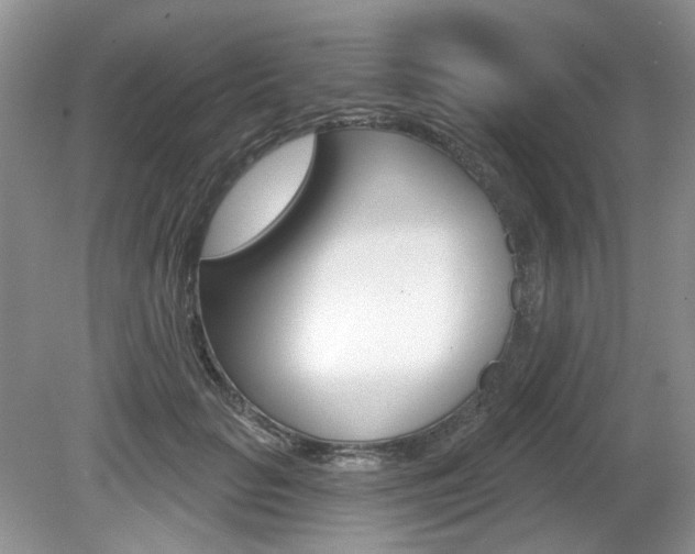 X0000080180653200612081135