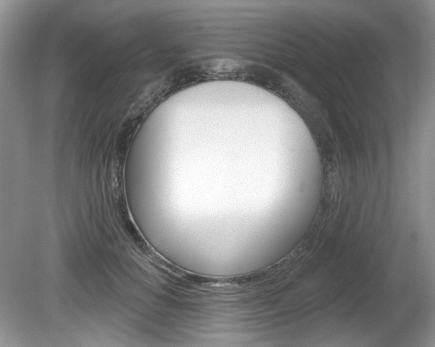 X0000080180654200612081135