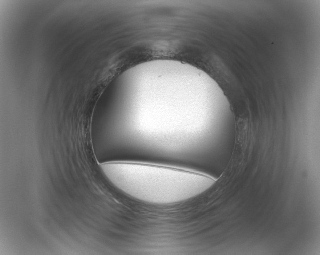 X0000080180655200612081135