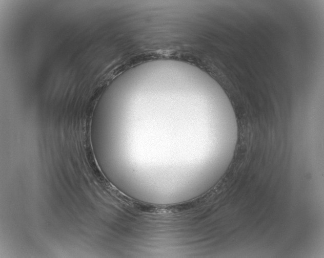 X0000080180656200612081135