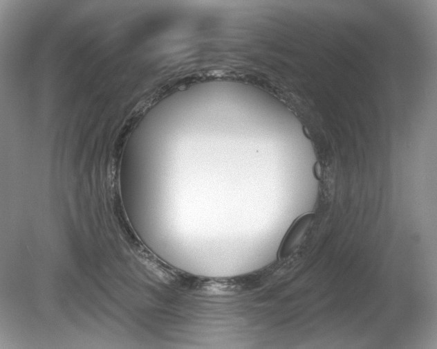 X0000080180657200612081135