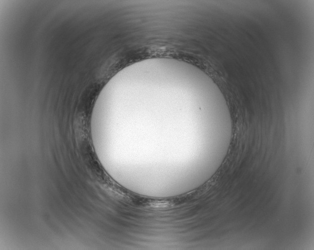 X0000080180659200612081135