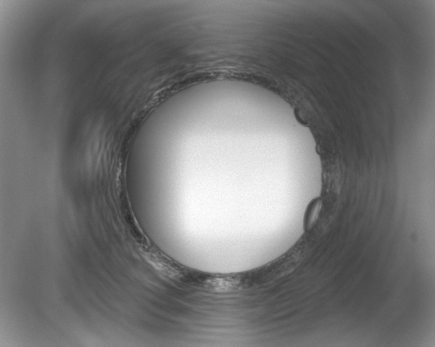 X0000080180660200612081135
