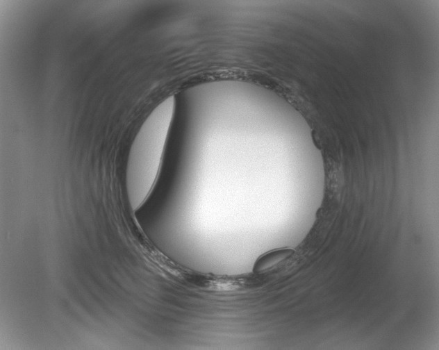 X0000080180662200612081135