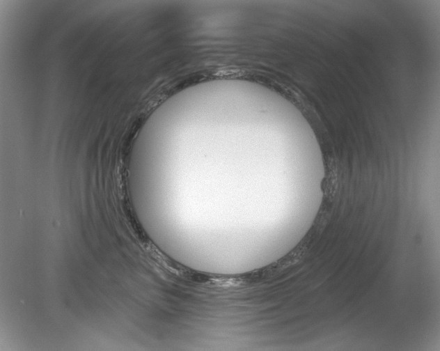 X0000080180667200612081135
