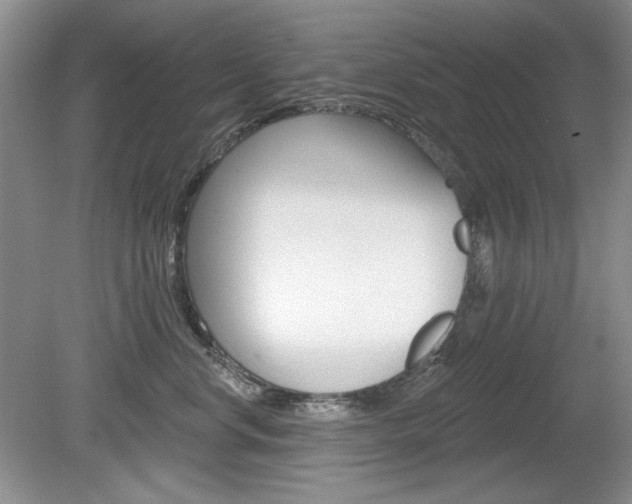 X0000080180668200612081135