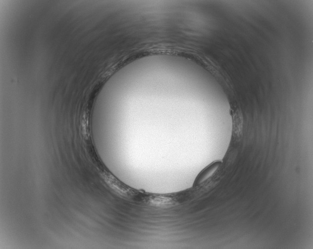 X0000080180669200612081135