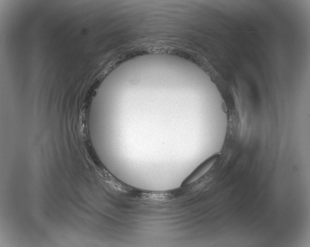 X0000080180671200612081135