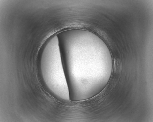 X0000080180675200612081134