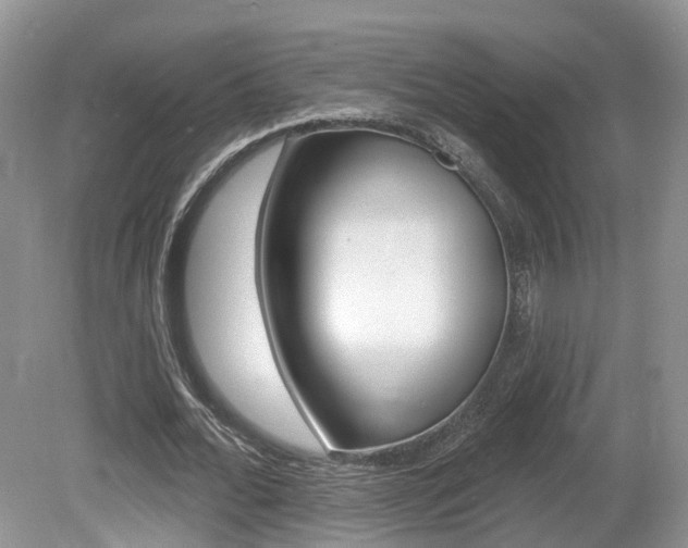 X0000080180676200612081134
