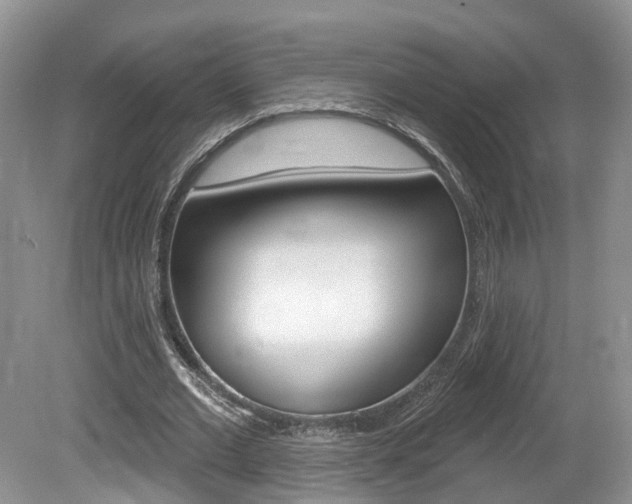 X0000080180677200612081134