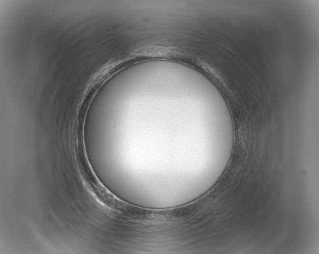 X0000080180682200612081134