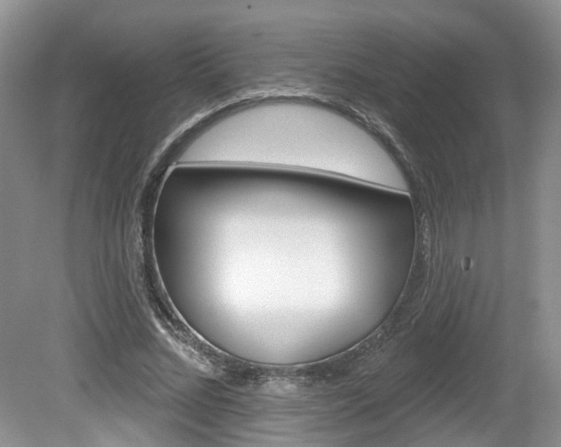 X0000080180684200612081134
