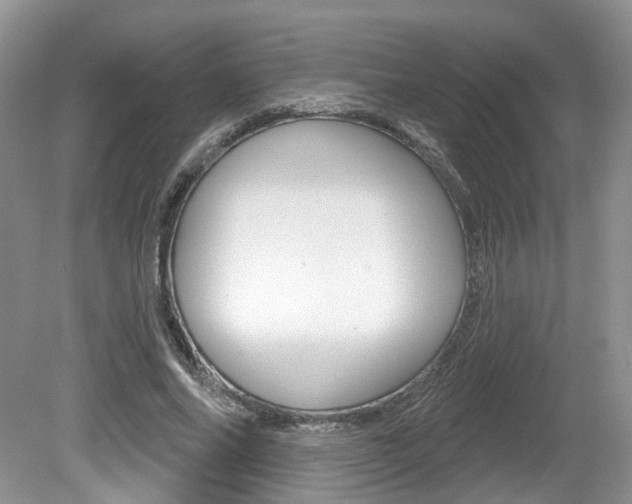 X0000080180686200612081134