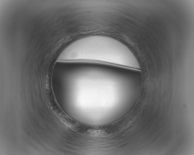 X0000080180689200612081134