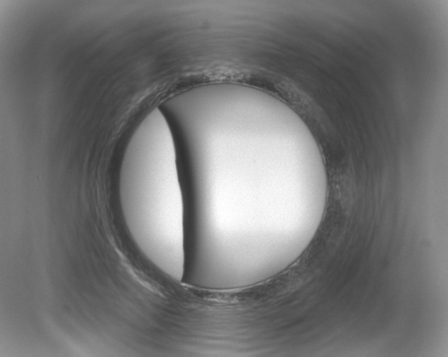 X0000080180690200612081134